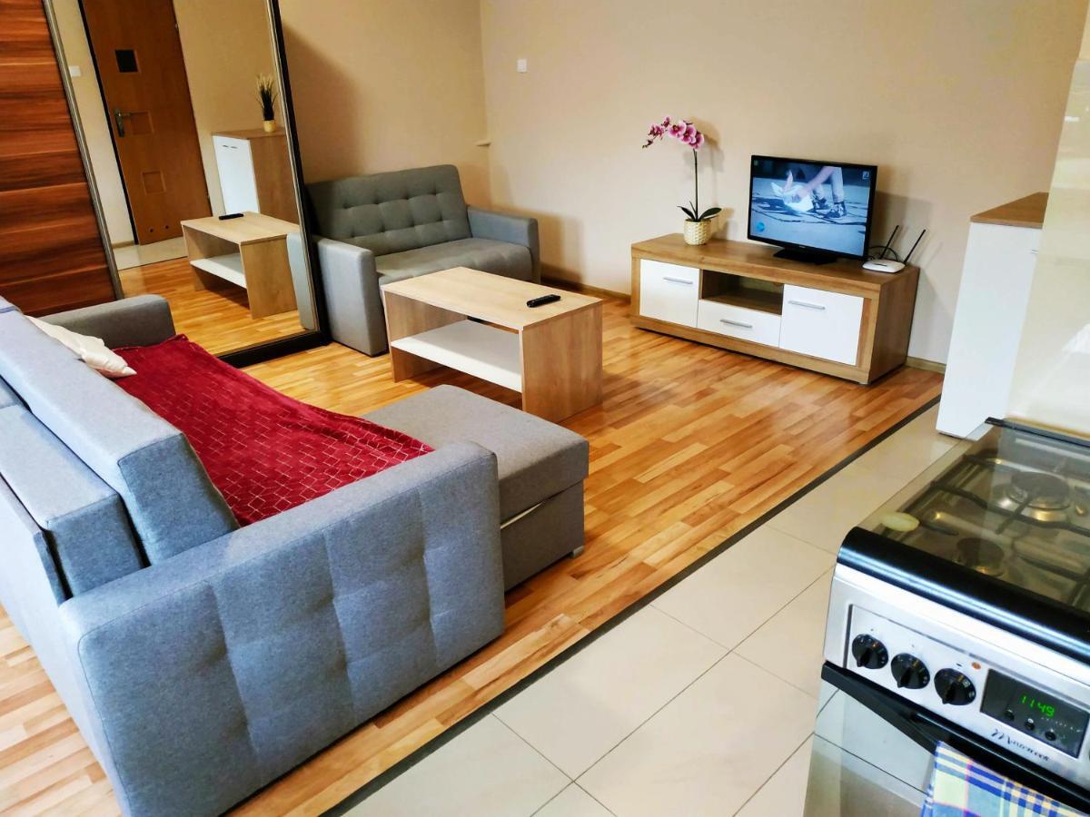 Apartament Centralna Grill & Fun Apartment คราคูฟ ภายนอก รูปภาพ